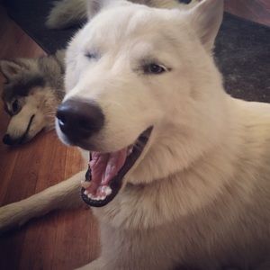 Meet your Posher, Kathryn